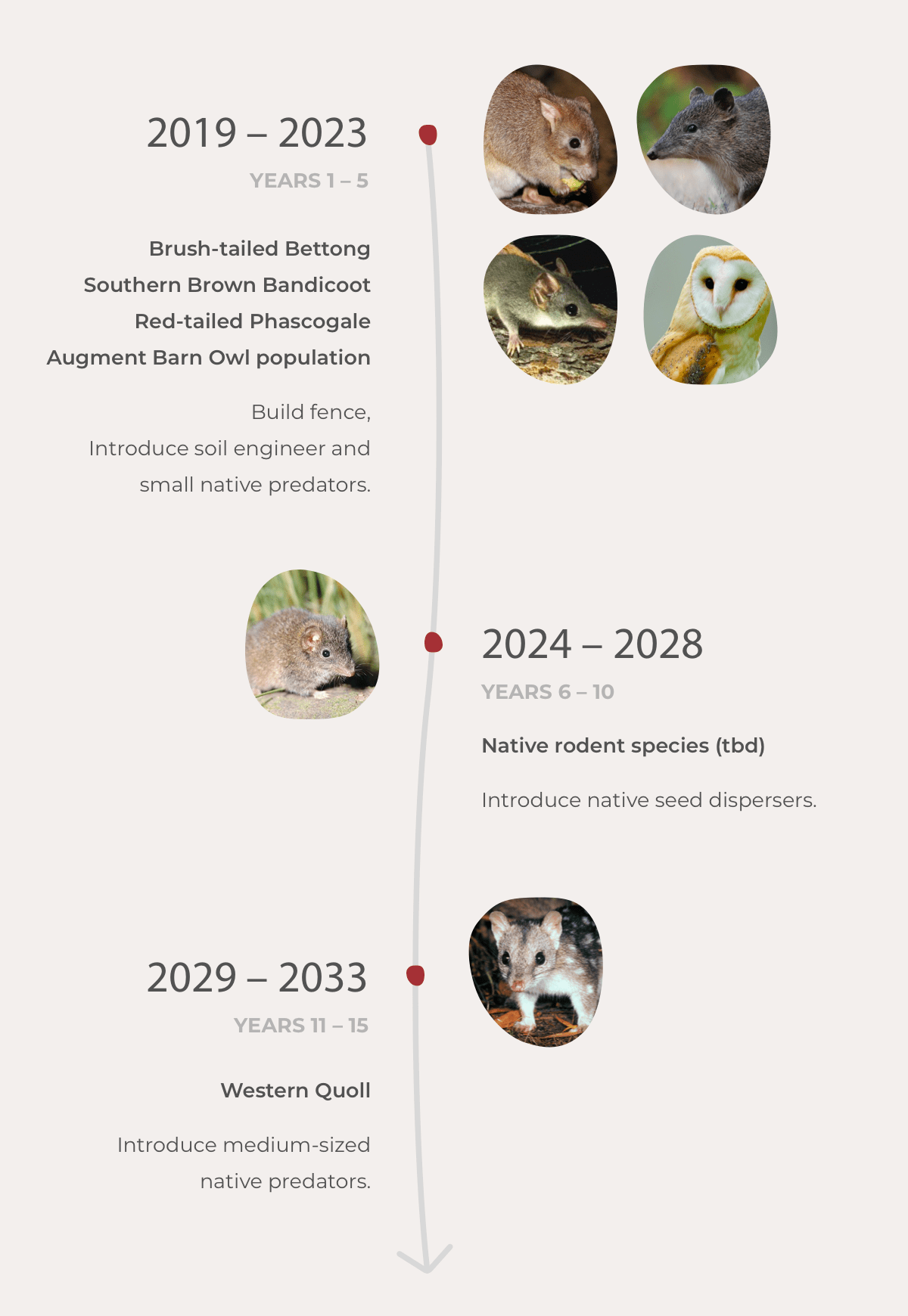 Timeline
